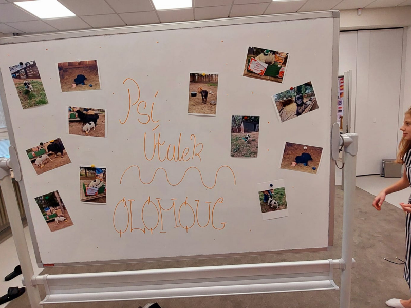 Obrázek WhatsApp, 2025-10-09 v 17.28.38_209479fa.jpg